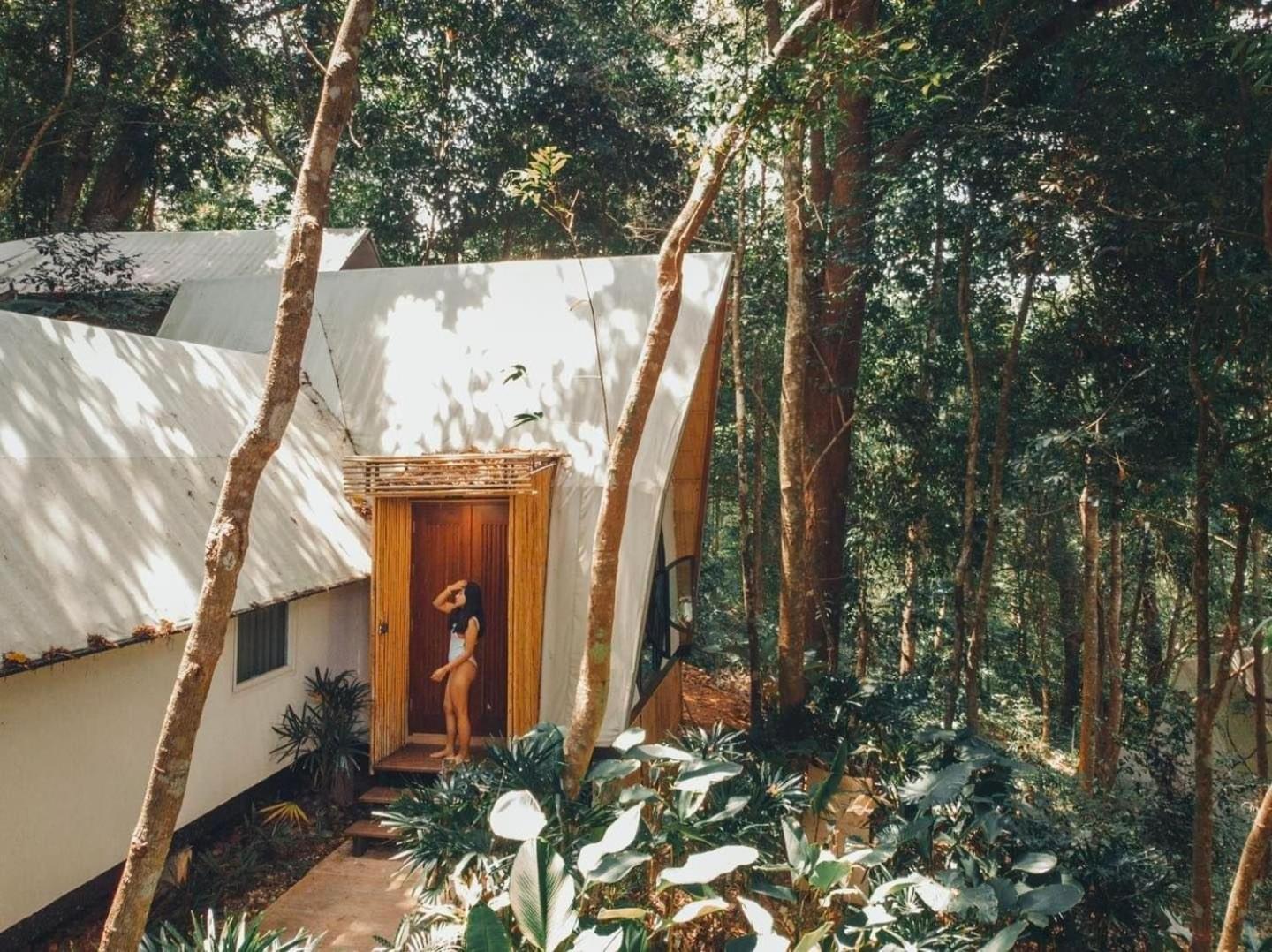Lannawild Hotel Chiang Mai Bilik gambar