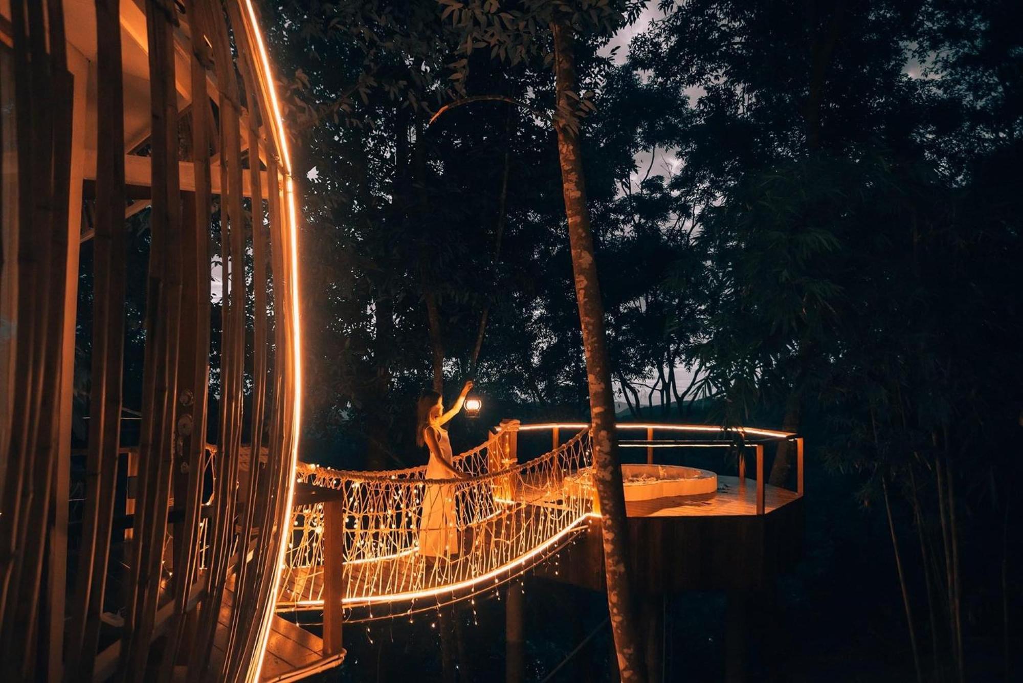 Lannawild Hotel Chiang Mai Bilik gambar