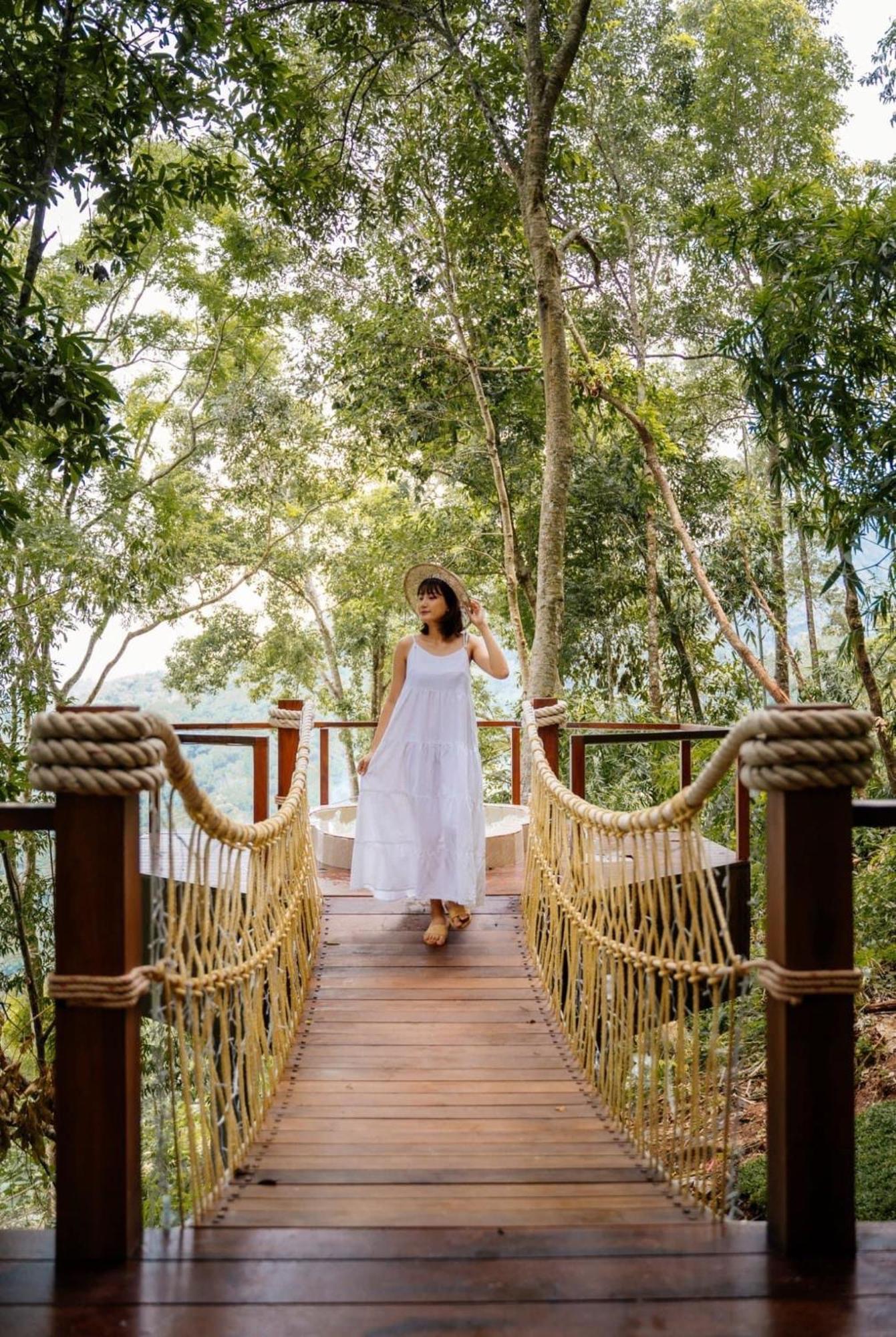 Lannawild Hotel Chiang Mai Bilik gambar