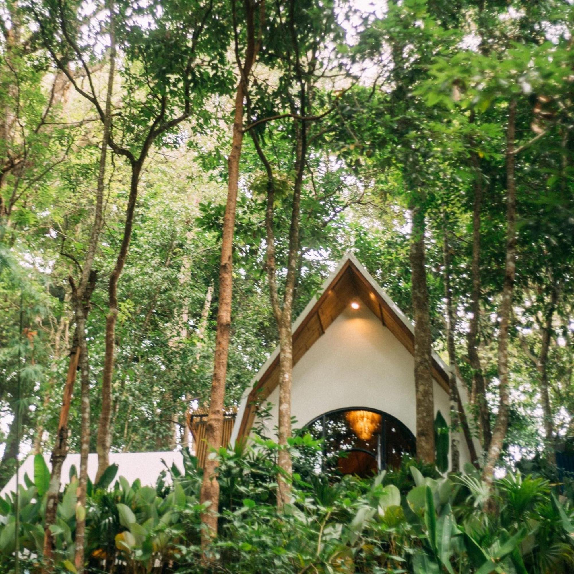 Lannawild Hotel Chiang Mai Bilik gambar